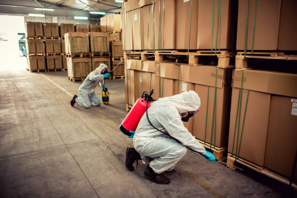 Best Exterminator Services  in Marillo, CA