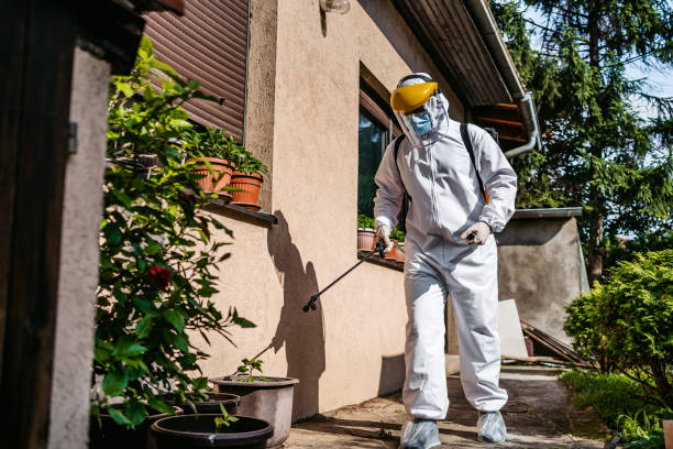 Spider Control Near Me in Camarillo, CA