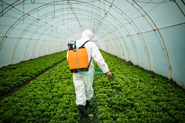 Best Local Pest Control Services  in Marillo, CA