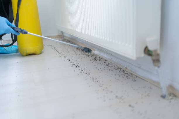 Best Commercial Pest Control Services  in Marillo, CA