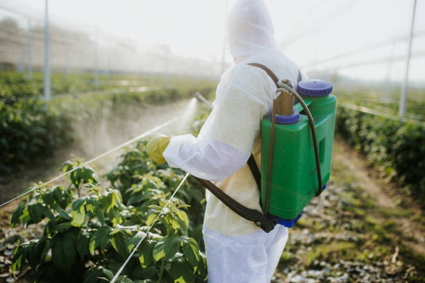  Marillo, CA Pest Control Pros